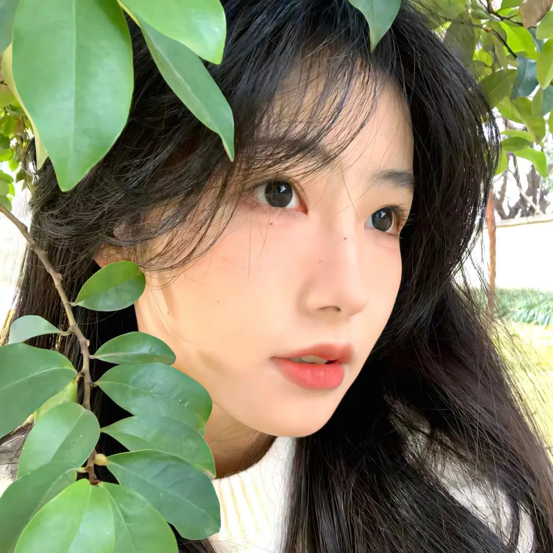 野马梅莎